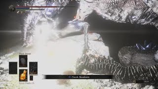 DARK SOULS III The Fire Fades Edition Darkeater Midir Bridge Fight [upl. by Adnorat]