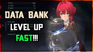 DATA BANK GUIDE FOR FAST LEVEL UP  Wuthering Waves [upl. by Mail]