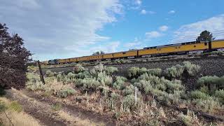 Big Boy train 4014 rolling through Verdi [upl. by Nigle]