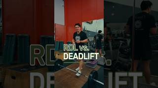 RDL vs Deadlift personaltrainer gymvlog fitness gym [upl. by Remos]