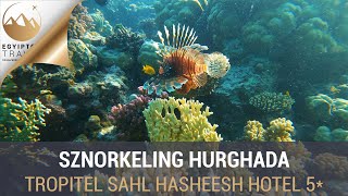 Sznorkeling Hurghada 4K  Tropitel Sahl Hasheesh  Egyiptom Travel [upl. by Niltiac]