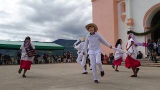 DANZA DE LOS CHINANTECOS [upl. by Attiuqihc]