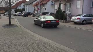 BMW 840i Acceleration and Sound [upl. by Kenyon299]