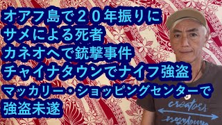 ハワイニュース 06292024：オアフ島で２０年振りにサメによる死者、チャイナタウンでナイフ強盗、マッカリー・ショッピングセンターで強盗未遂、カネオヘで銃撃事件 [upl. by Eiryt]