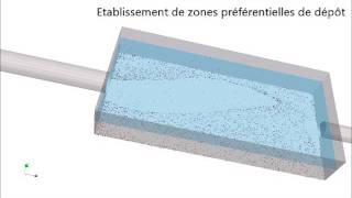 Modélisation du transport solide dans un bassin de décantation [upl. by Towers]
