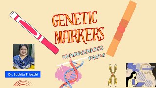 Genetic MarkersMolecular genetics 4AnthropologyInsightsforUPSCNETcuetugcnet upsc [upl. by Irtimd246]