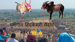 पुसेगाव हिंदकेसरी मैदान २०२४ [upl. by Ettenwad]