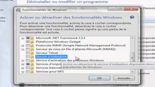 Astuce  Désactiver des Fonctionnalités Windows [upl. by Arrakat569]