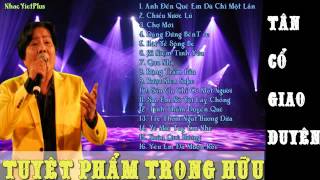 TRỌNG HỮU Những Tuyệt Phẩm Tân Cổ Giao Duyên Của TRỌNG HỮU YouTube [upl. by Riocard]