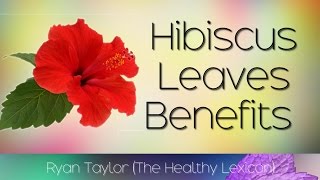 Hibiscus Leaves Benefits and Uses [upl. by Kyla903]