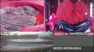 Renner Coatings Chile Spa [upl. by Alhak905]