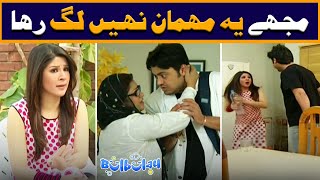 Canada se Anay Wala Mehman Kon Hai 😲🤭 Khoobsurat  Bulbulay [upl. by Merceer]