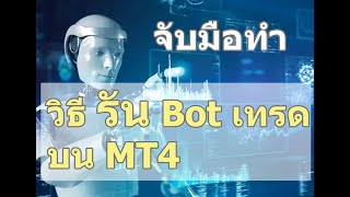 วิธีรัน Bot trade EA ใน MT4 [upl. by Hamlin]