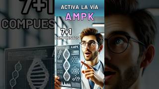 ACTIVACIÓN NATURAL DE AMPK PARA TU METABOLISMO SALUD Y LONGEVIDAD [upl. by Pavyer615]