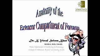 Anatomy Lecture on the FOREARM  Part 2  Extensor Compartment  Dr Yusuf [upl. by Waxler]