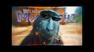 Monkey Rizz 4k 1 Hour Edit [upl. by Shaughn]