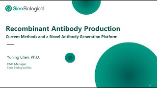 Recombinant Antibody Production Current Methods and a Novel Antibody Generation Platform [upl. by Deering]