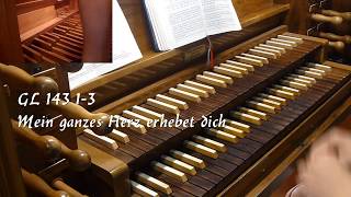 GL 143 13 quotMein ganzes Herz erhebet dichquot EInzug  Choral  LABIALPFEIFE [upl. by Eltsyrhc]