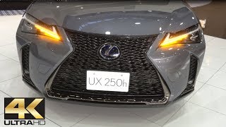 2019 New Lexus UX 250h F Sport Review Interior Exterior  Lexus UX 250h 2019  レクサス UX 250h 2019 4K [upl. by Ellessig]