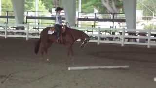 Appaloosa Horse Show Event  Part10 [upl. by Afira527]