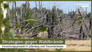 Strategien gegen Waldbrände  Forschungsprojekt in Jüterbog und Treuenbrietzen [upl. by Ellenyl]