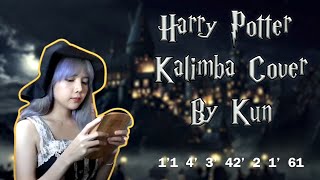 Harry Potter  kalimba cover by kun [upl. by Wandis]