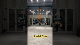 Aerial yoga new Flow  Aerial yoga in delhi wokoutmuaic comedy motivation [upl. by Adolf]