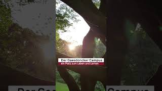 Der Campus der Gaesdonck beeindruckt durch seine Lage an der niederländischen Grenze [upl. by Traweek]