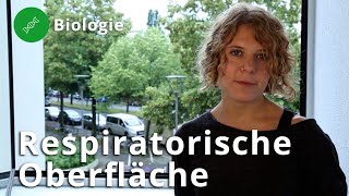 Atmung und die respiratorische Oberfläche – Biologie  Duden Learnattack [upl. by Omland]