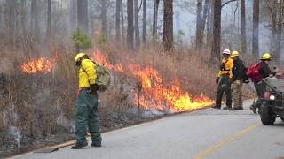 Prescribed Fire in Georgia [upl. by Layap645]