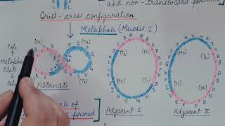 TranslocationChromosomal Aberration Part 3Genetics [upl. by Llenaj27]