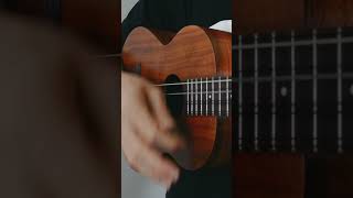 Kamaka HF48 8String Baritone Ukulele Cover [upl. by Morie]