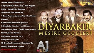 Diyarbakır Mesire Geceleri  Fincanın Etrafı [upl. by Elraet449]