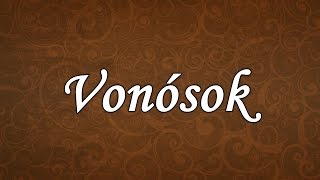 Utazás a zenekari hangszerek világában  Vonósok [upl. by Nnylkoorb]