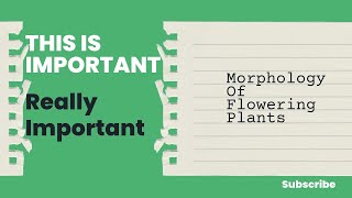 MORPHOLOGY OF FLOWERING PLANTS [upl. by Egas]