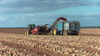 Récolte des oignons 2011 John Deere 6220 amp arracheuse Grimme  harvest onions [upl. by Alonso]