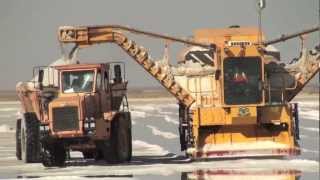 Salt harvesting in Walvis Bay Namibia [upl. by Yobybab]