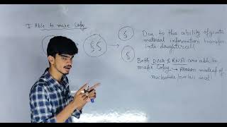 molecular basis of inheritance class 12 lecture 11 [upl. by Elocim]