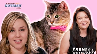 People Who Hate Cats Work In A Cat Cafe  Presented By BuzzFeed amp Rachael Ray Nutrish [upl. by Hellman3]