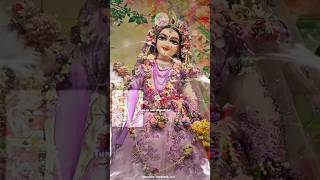 radhakrishna newvideo status litestar radheradhe trendingshorts viralvideo radhakrishnalove [upl. by Maureen]