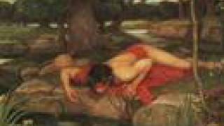 The Mythology of Narcissus [upl. by Mechelle]