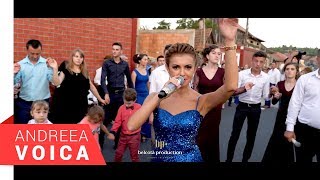 Andreea Voica Feat Stana Izbasa amp Papu  Colaj Brauri Live 2 [upl. by Akalam]