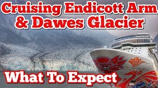 Cruising the Endicott Arm amp Dawes Glacier  Alaska  What to Expect [upl. by Kimble293]