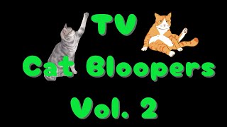 Hilarious Cat Bloopers Vol 2 [upl. by Nosirrag578]