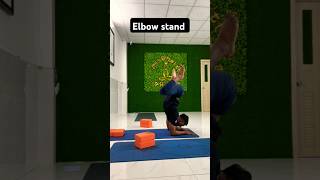 Elbow stand with block Make your shoulder strong core engaged toes up Find balance and hold it [upl. by Fransisco]