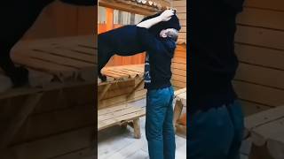 A cat became black panther shorts viralvideo black [upl. by Joslyn]