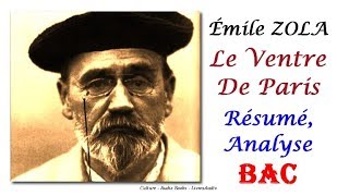 BAC  Émile ZOLA Le Ventre De Paris Résumé Analyse [upl. by Duahsar]