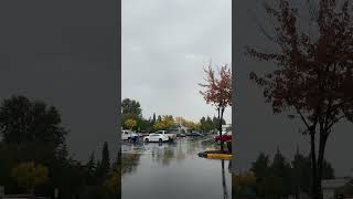 Raining in Tukwila WA [upl. by Jaehne948]