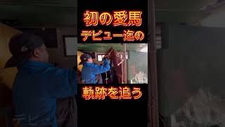 【リアル馬主】初の1頭持ち愛馬！デビューまでの軌跡を追う！【競馬】 競馬 horse 馬主 [upl. by Noorah]