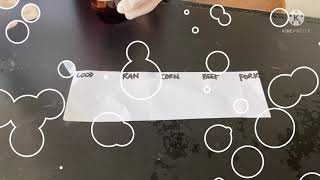 Biochemistry Lab Tests for Lipids Spot test Acrolein test amp LiebermannBurchard test [upl. by Anyek417]